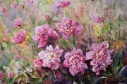 piwonie-akryl-50x70-kantoch-miroslaw-artmi.jpg
